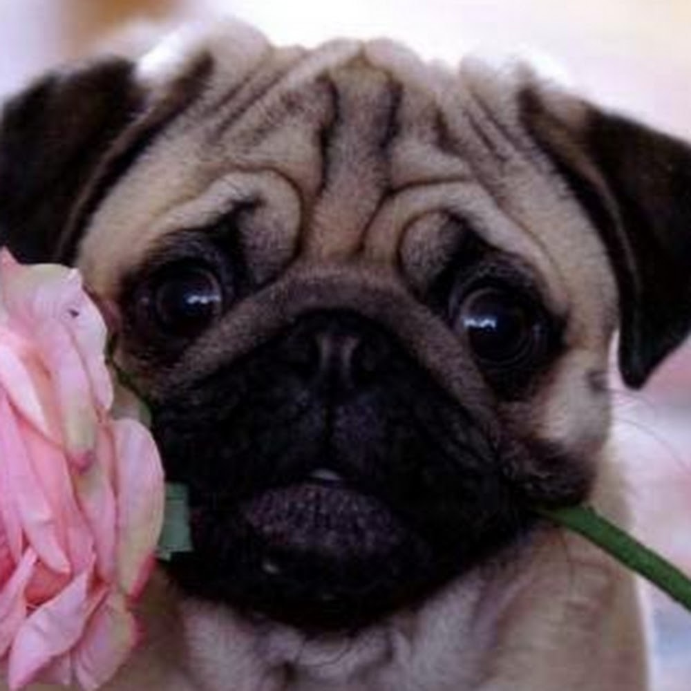 Meet your Posher, Kristina